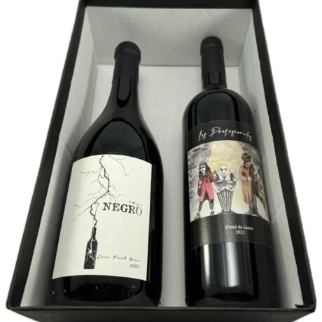 Combo 10: Rayo Negro (Gran Pinot Noir 2022) + Los Profesionales (Blend de Tintas 2021)