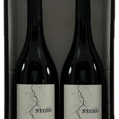 Combo 09: Rayo Negro (Gran Pinot Noir 2022) + Rayo Negro (Gran Pinot Noir 2022)